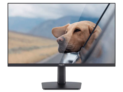 23.8" HAILAN IPS LED SD40IF (5ms, 1000 1, 250cd, 1920x1080, 178°/178°,…